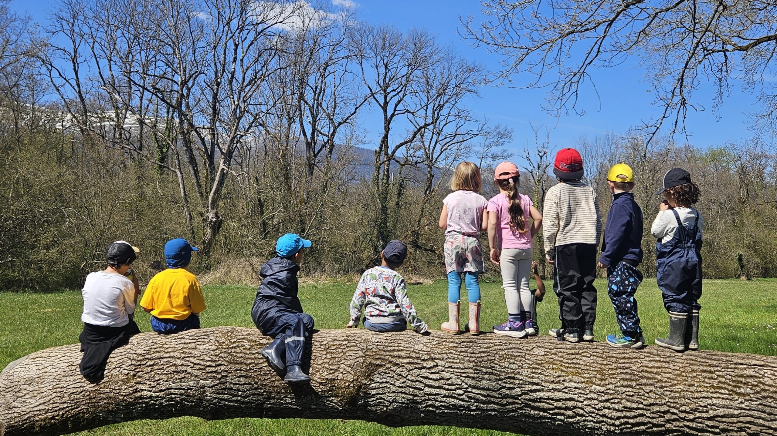 sortie nature école alternative du pays de gex, Neuf enfants sur un tronc d'arbre.